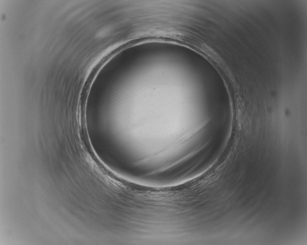 X0000051861028200507081817