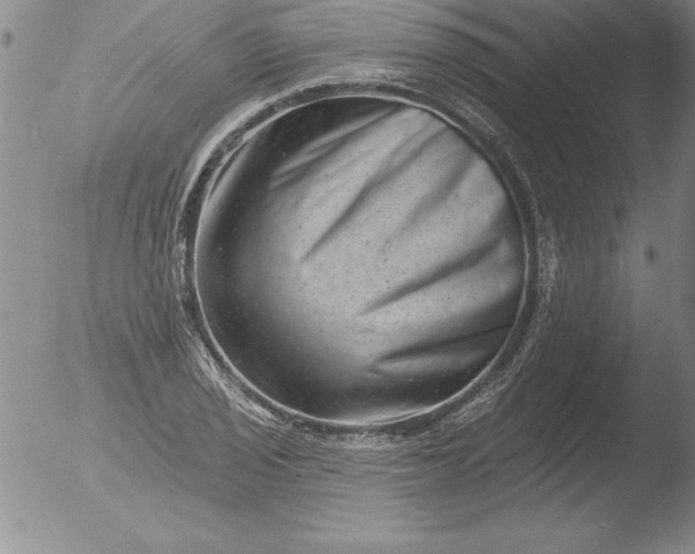 X0000051861029200507081817