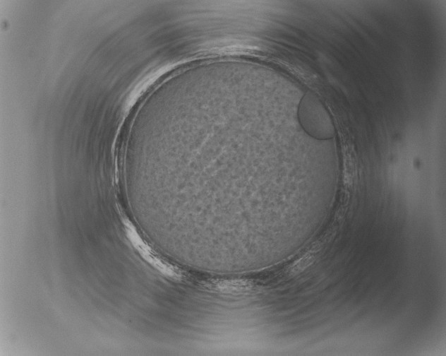 X0000051861031200507081817