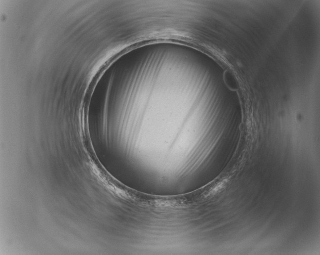 X0000051861032200507081817