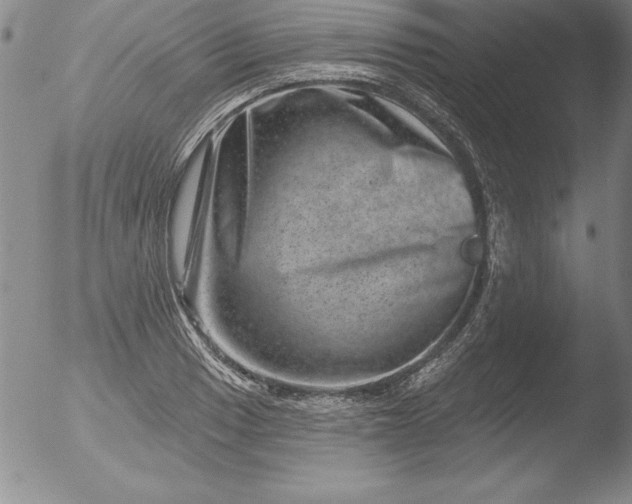 X0000051861033200507081817