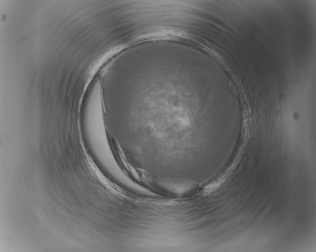 X0000051861034200507081817