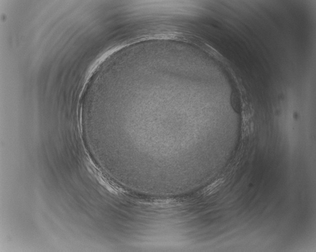 X0000051861035200507081817