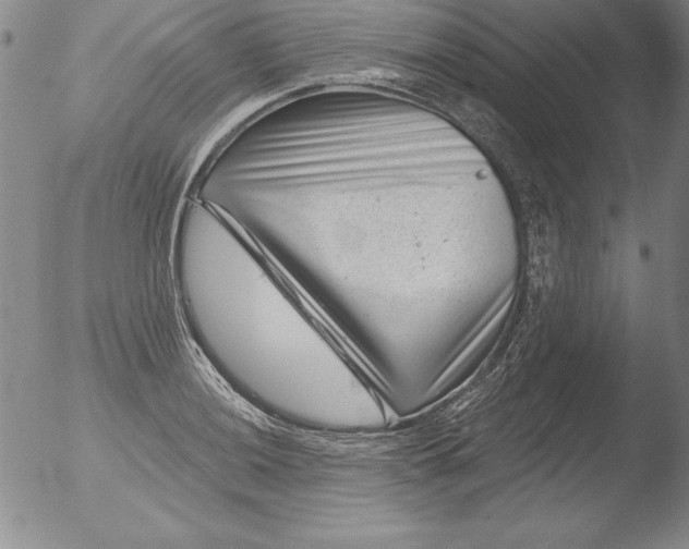 X0000051861036200507081817