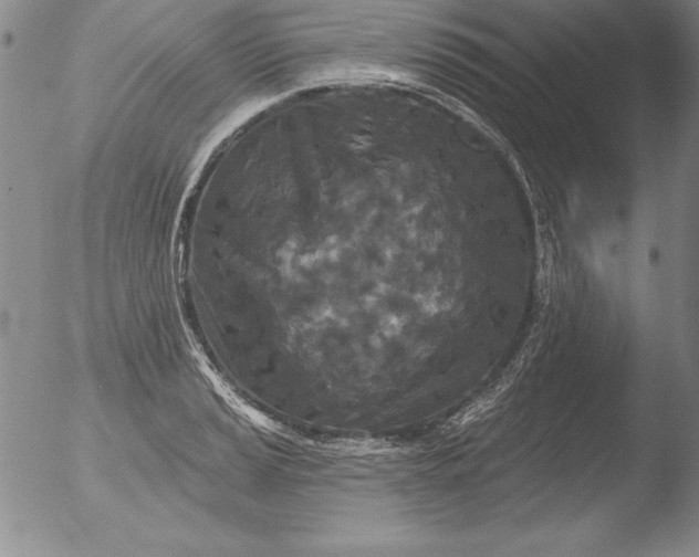 X0000051861037200507081817