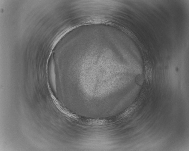 X0000051861039200507081817