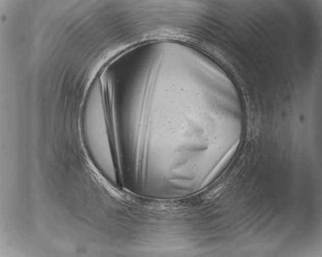 X0000051861040200507081817