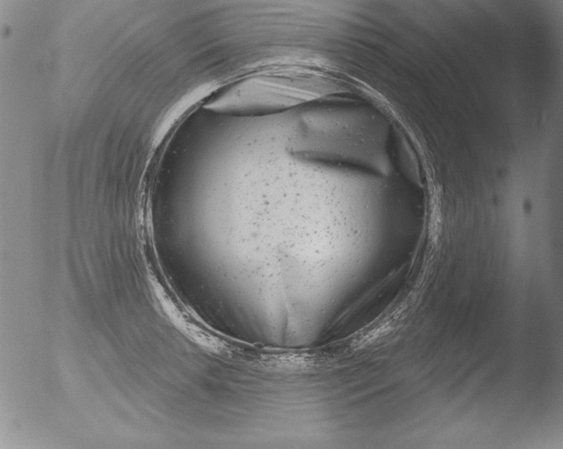 X0000051861042200507081817