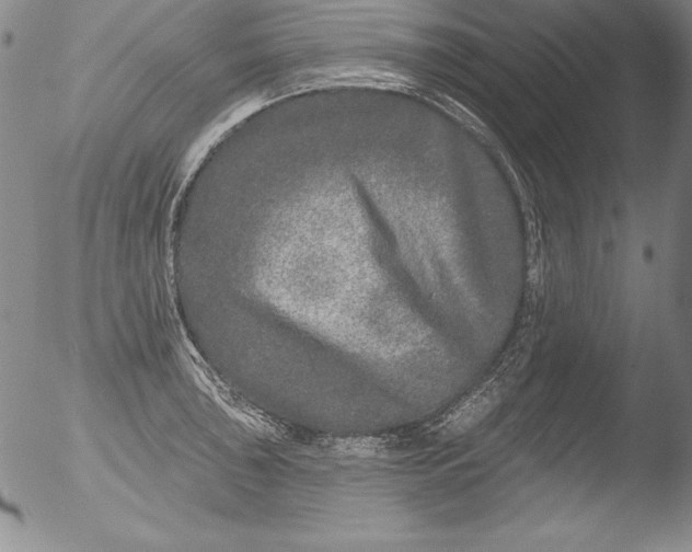 X0000051861043200507081817