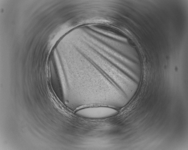 X0000051861044200507081817