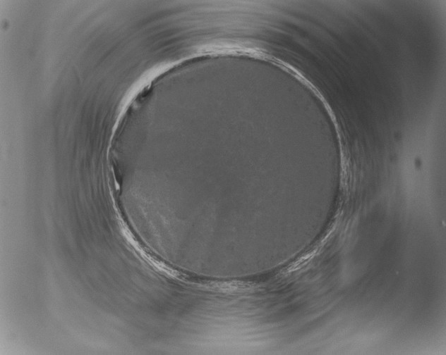 X0000051861045200507081817