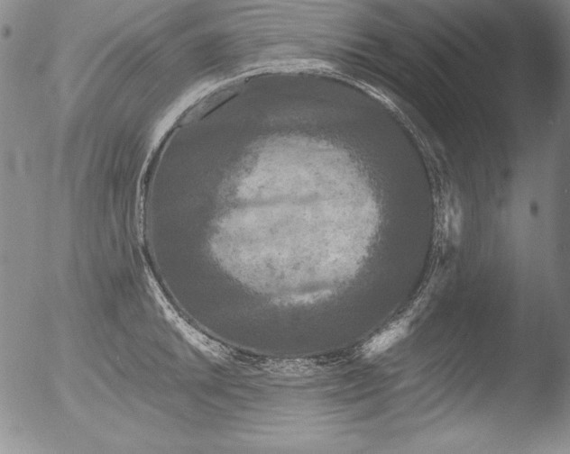 X0000051861046200507081817