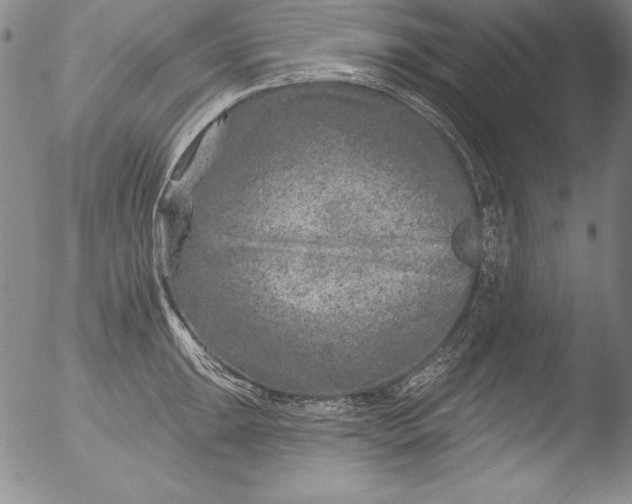 X0000051861047200507081817