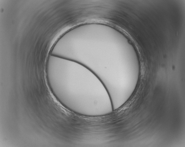 X0000051861048200507081817