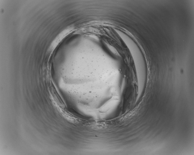 X0000051861050200507081818