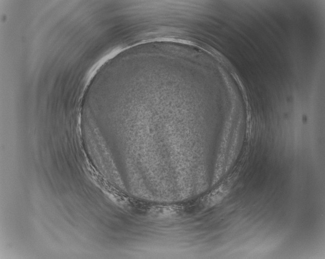 X0000051861051200507081818