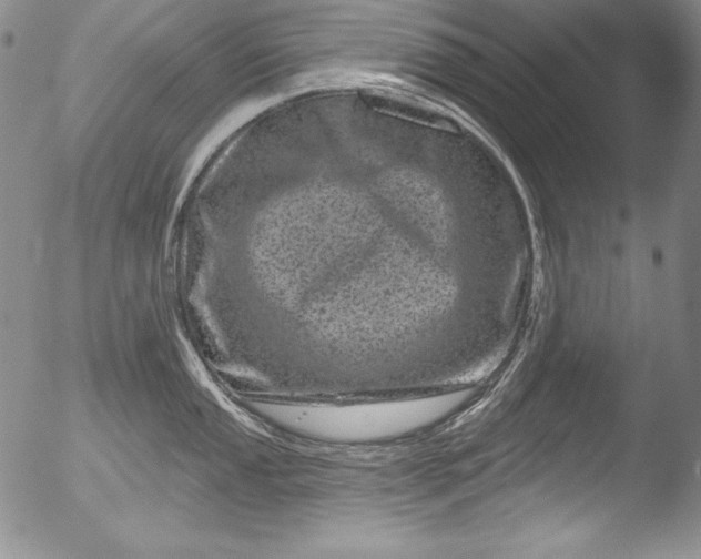 X0000051861053200507081818