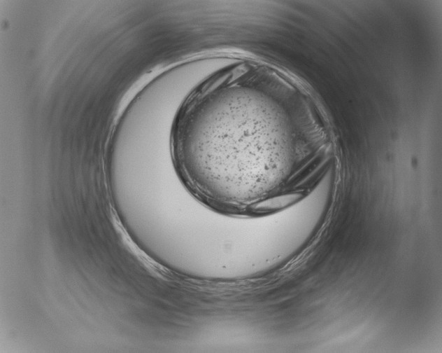 X0000051861054200507081818