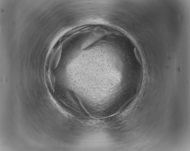 X0000051861056200507081818