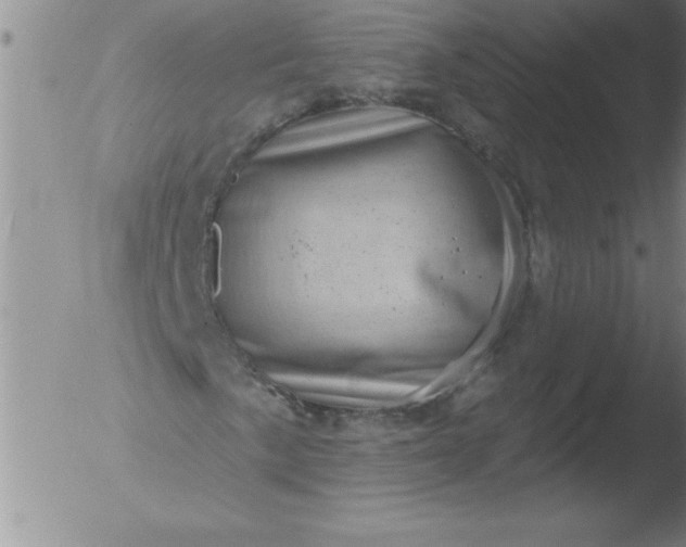 X0000051861057200507081817