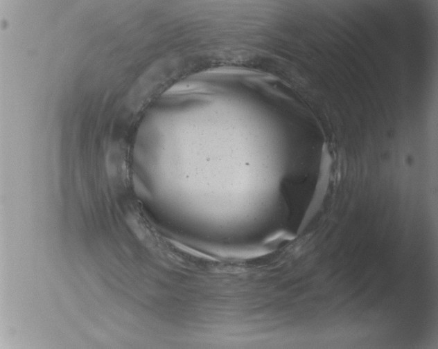 X0000051861058200507081817