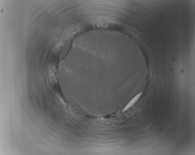 X0000051861060200507081817