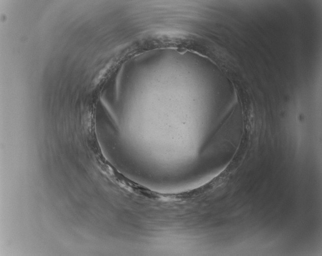 X0000051861061200507081817