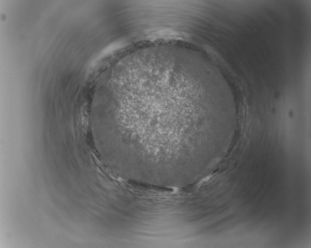 X0000051861063200507081817