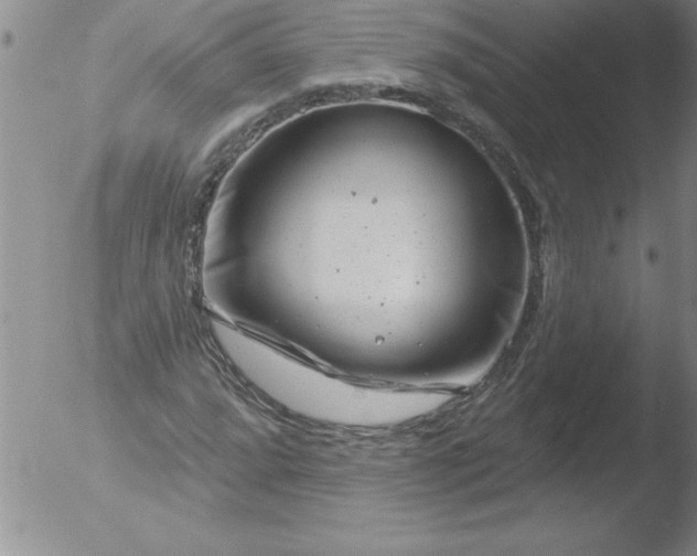 X0000051861064200507081817