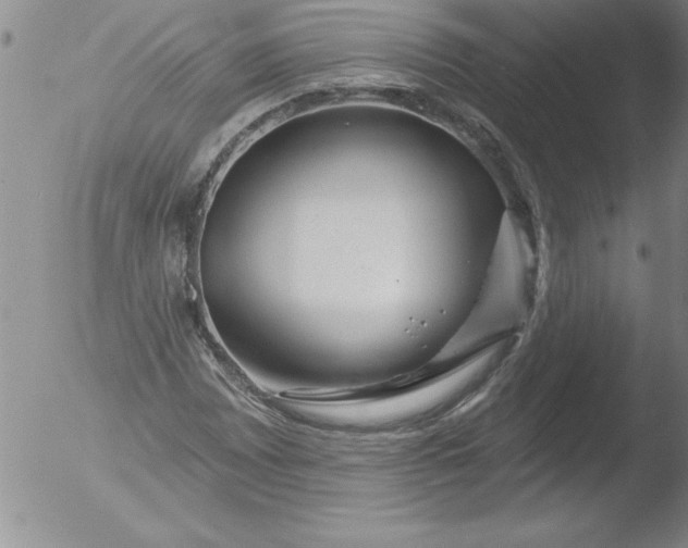 X0000051861065200507081817