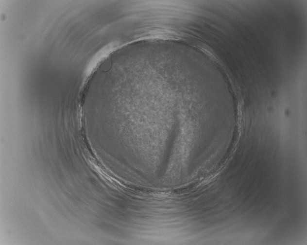 X0000051861067200507081817