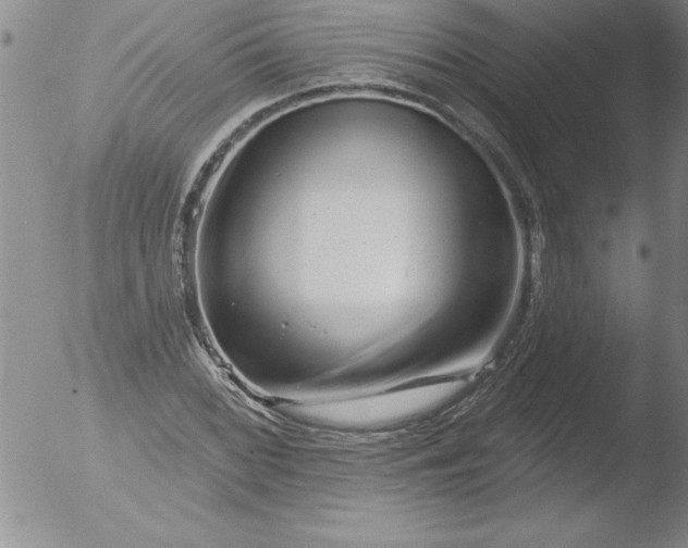 X0000051861068200507081817