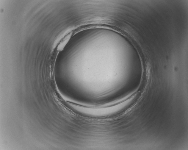 X0000051861069200507081817