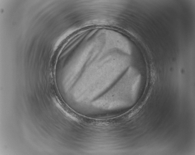 X0000051861070200507081817