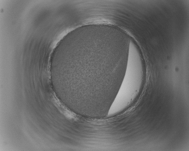 X0000051861071200507081817