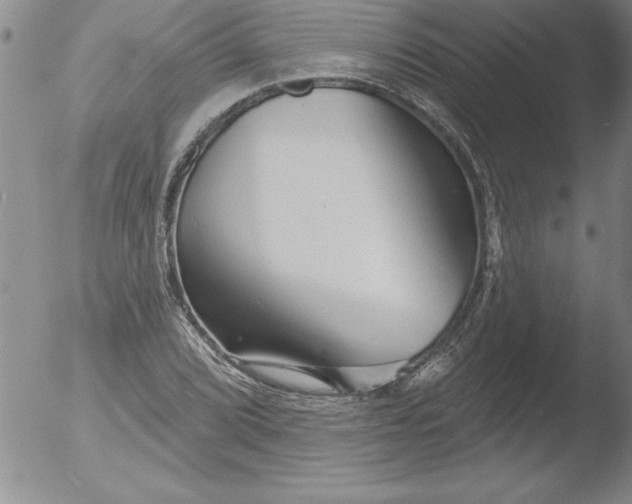 X0000051861072200507081817