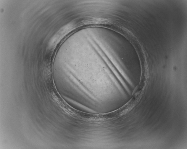 X0000051861073200507081817