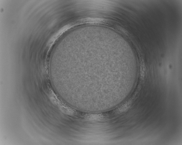 X0000051861074200507081817