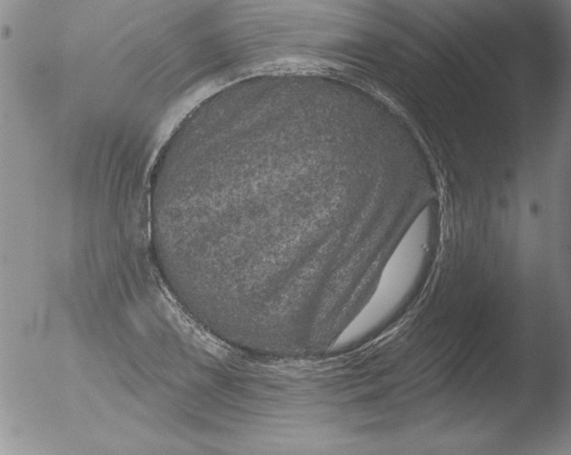 X0000051861075200507081817