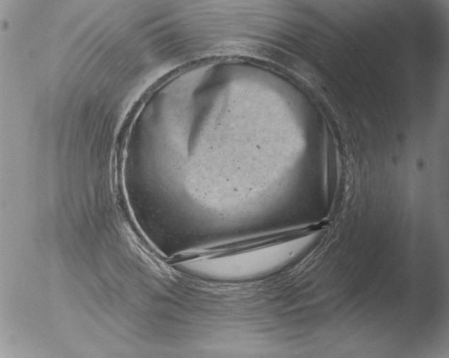 X0000051861076200507081816