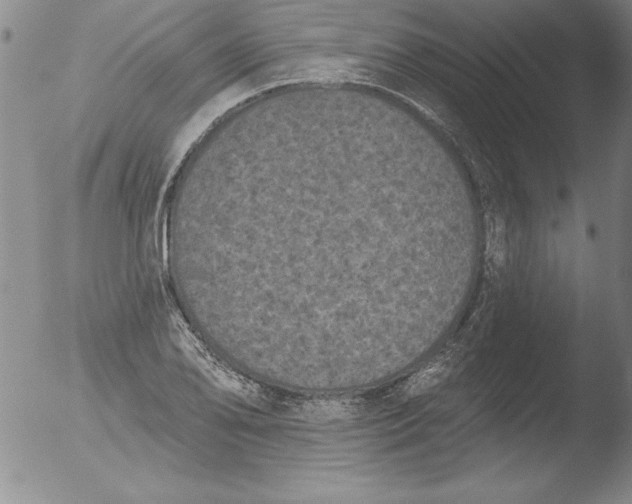 X0000051861078200507081816