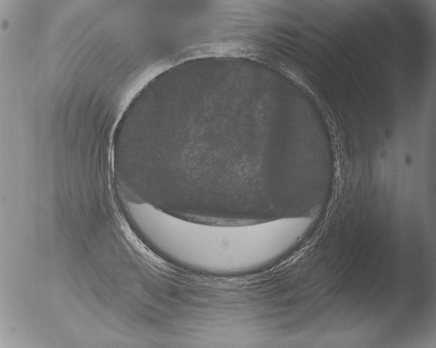 X0000051861079200507081816