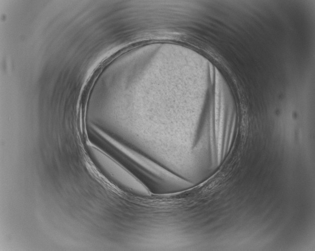 X0000051861080200507081816