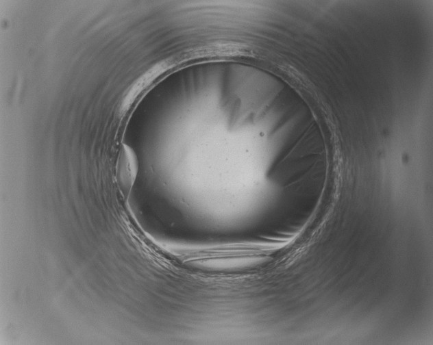 X0000051861081200507081816