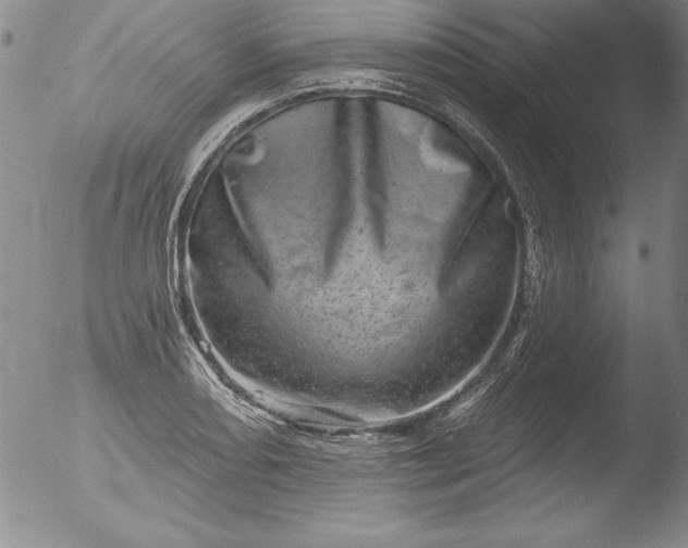 X0000051861082200507081816