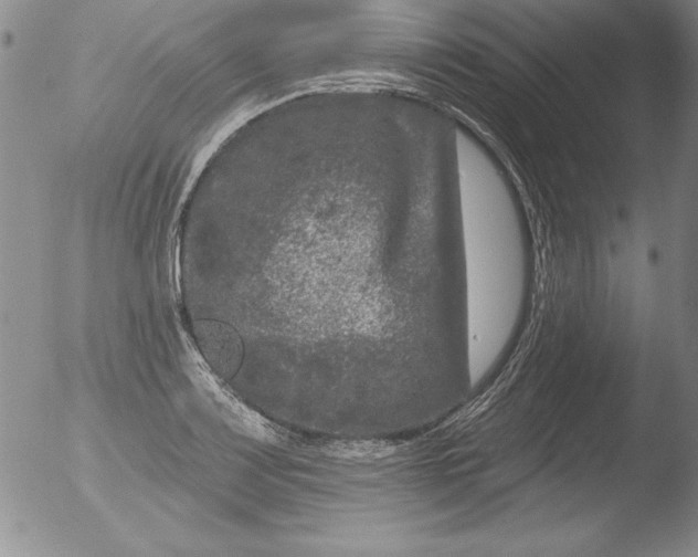 X0000051861083200507081816