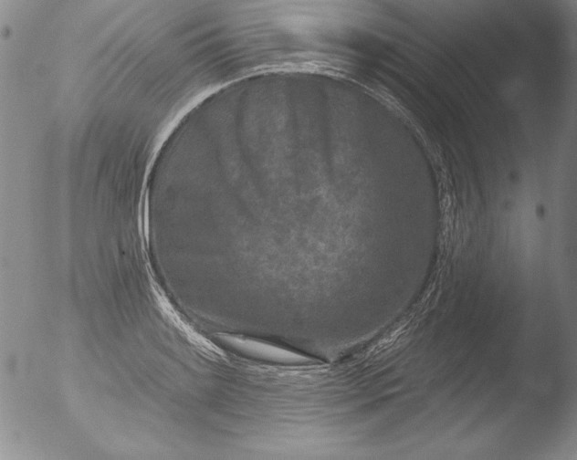 X0000051861084200507081816