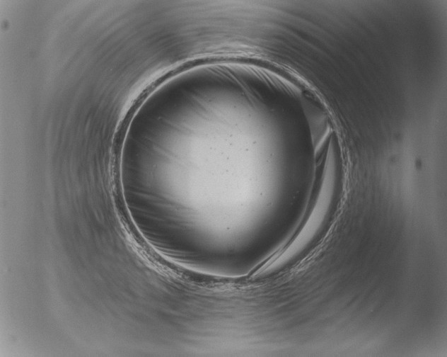 X0000051861085200507081816