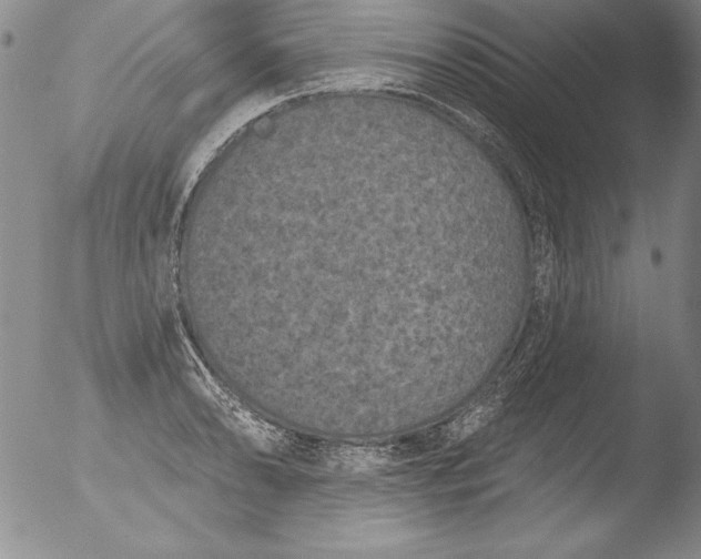 X0000051861086200507081816