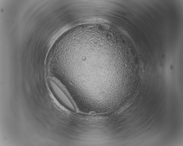 X0000051861087200507081816